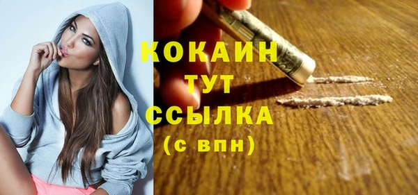 дживик Алексин